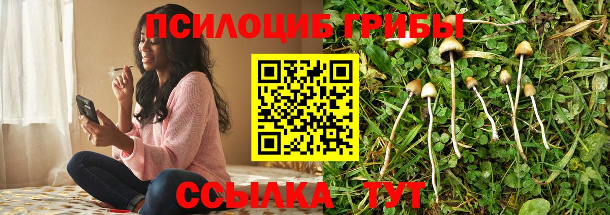 Псилоцибиновые грибы MAGIC MUSHROOMS Ессентуки