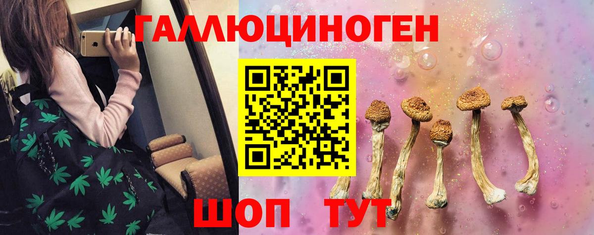 Ессентуки  Псилоцибиновые грибы ЛСД  Вход с VPN 